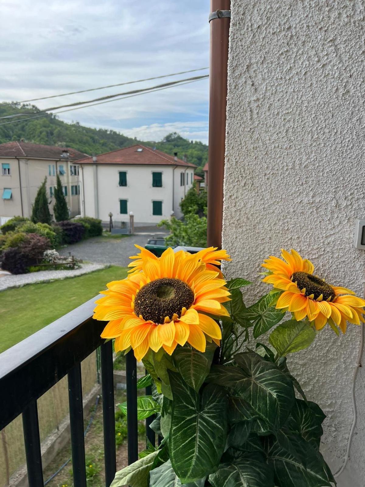 La Primula Vicinanza 5 Terre Riccò del Golfo di Spezia Exterior foto